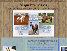 Tablet Screenshot of 5cquarterhorses.com